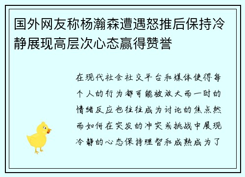 国外网友称杨瀚森遭遇怒推后保持冷静展现高层次心态赢得赞誉